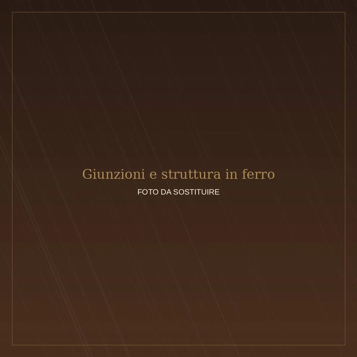 Giunzioni e struttura in ferro